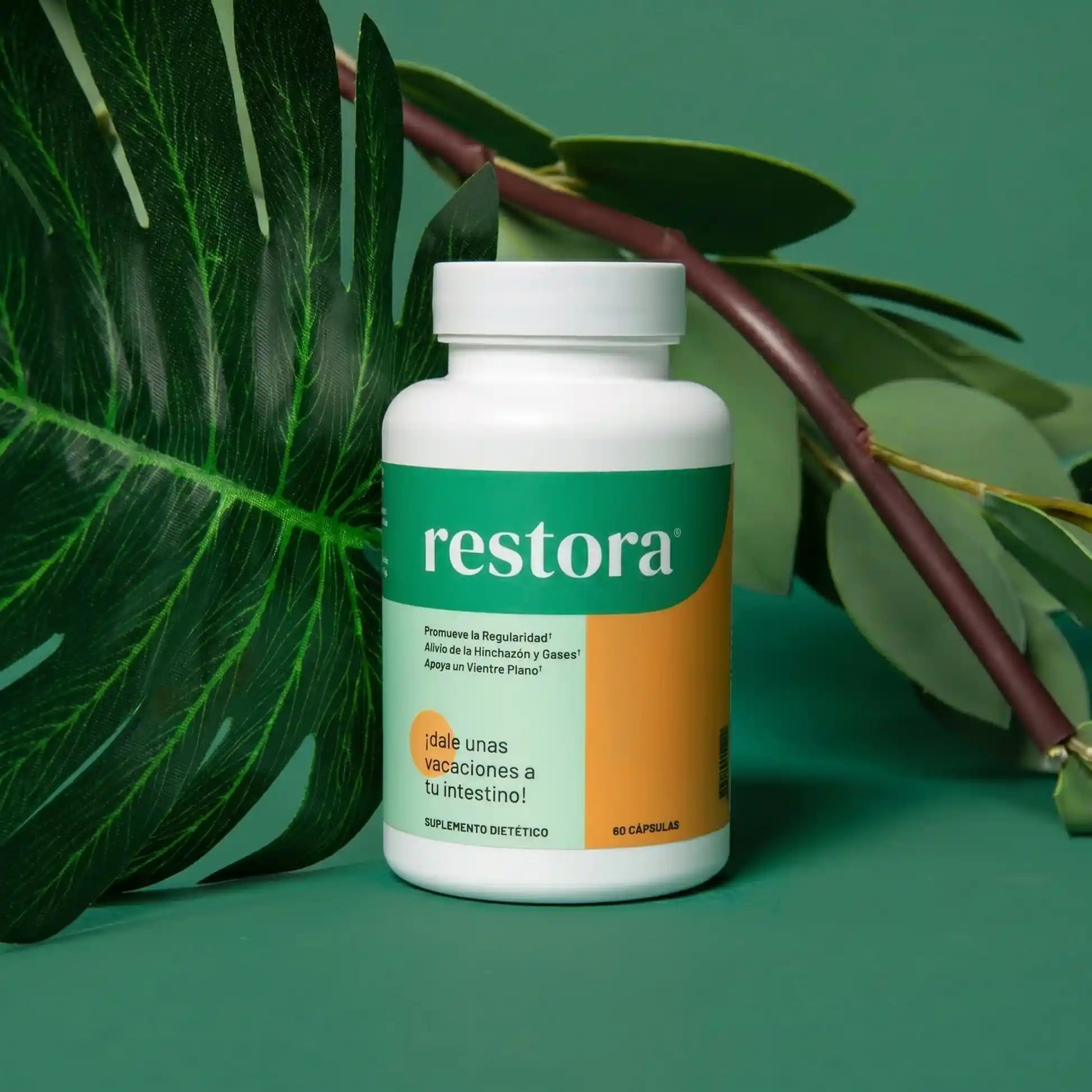 Restora | ¡Sacá esa caca pegada de una vez!